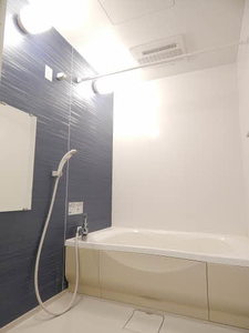 アメイジンググレイス　＊＊ A0201号-9