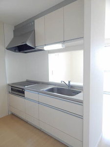 アメイジンググレイス　＊＊ A0301号-3