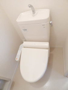 アメイジンググレイス　＊＊ A0301号-6