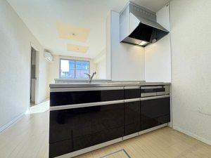 ファインシアコート　＊ A0103号-3