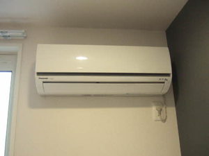 ウェルシー　＊ A0102号-13