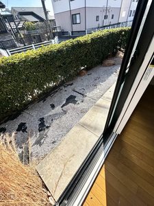 パークサイド高取　Ｄ棟　＊＊ D0101号-13