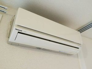 イベリス　＊＊ A0102号-8