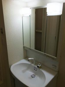 イベリス　＊＊ A0102号-10