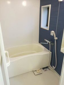 イベリス　＊＊ A0102号-11