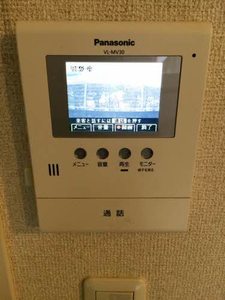 イベリス　＊＊ A0102号-15