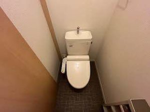 キャミスト　＊ A0102号-6