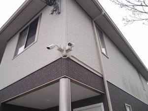 パストラル久留米　Ａ棟　＊＊ A0201号-5