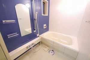 ドミール永犬丸　Ⅰ棟　＊＊ A0102号-6