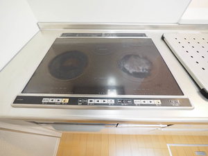 ラ・セゾン　Ⅰ棟　＊＊ A0101号-15