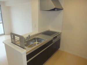 シャーメゾン　エルランド　Ⅱ棟　＊ B0201号-4