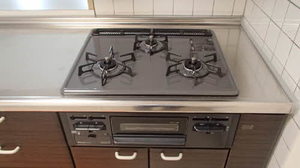 プライムメゾン百道浜 A1306号-5