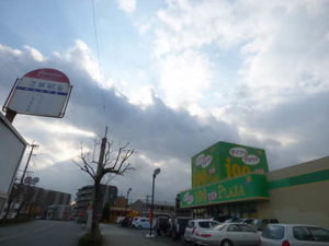 ＧＲＡＮＺ．ＭⅡ　＊＊ A0101号-5