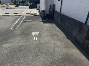 Ｃａｎｎａ　Ｓ　＊＊ A0202号-15