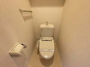 Canna S ** A0203号-5