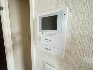 Canna S ** A0203号-7