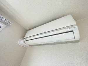 Canna S ** A0203号-10