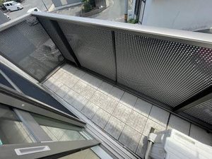 Canna S ** A0203号-11