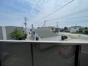 Canna S ** A0203号-12