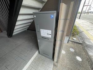 Canna S ** A0203号-14