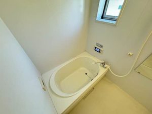 アルビコッカ大川 ** A0101号-2