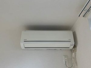 ヌアヌ　＊＊ A0102号-11