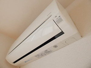 ヌアヌ　＊＊ B0101号-9