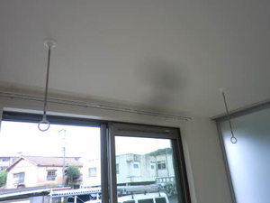 シャーメゾン　Ｙｕｕ　＊ A0105号-12