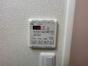 水前寺こまち A0102号-15