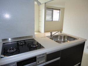 Ｓｏｌｅｉｌ　ｌｅｖａｎｔ白水　＊ A0101号-10