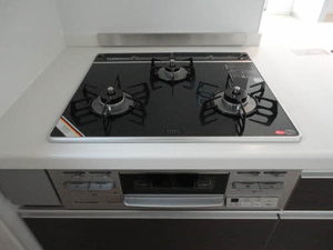 Ｓｏｌｅｉｌ　ｌｅｖａｎｔ白水　＊ A0101号-11