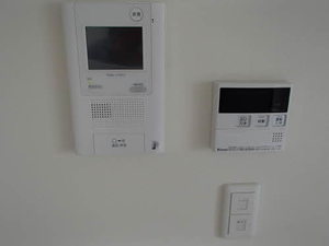 サーディン大名 A0803号-6