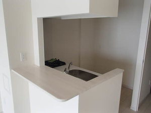 サーディン大名　＊ A0902号-5