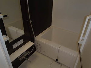 サーディン大名　＊ A0902号-8