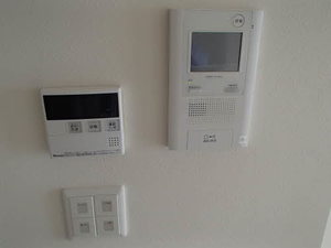 サーディン大名　＊ A0902号-10