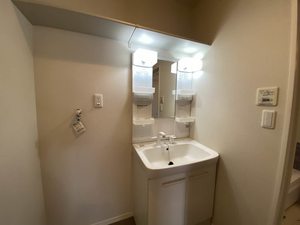 Ｒａｆｆｉｎｅ　＊ A0102号-5