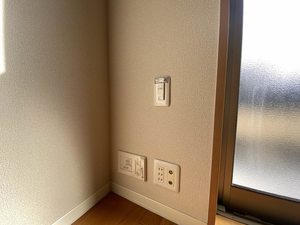 Ｒａｆｆｉｎｅ　＊ A0102号-10