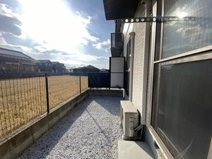 Ｒａｆｆｉｎｅ　＊ A0102号-13