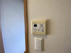 Ｒａｆｆｉｎｅ　＊ A0102号-14