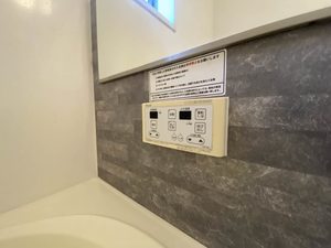 Ｒａｆｆｉｎｅ　＊ A0102号-15