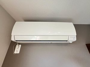 Ｖｉｖａｃｅ　＊ A0102号-13