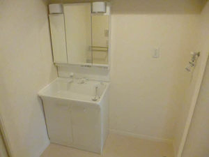 アレイナガーデン　Ａ棟　＊＊ A0203号-8