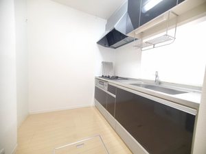 サティスビータ ** A0102号-4