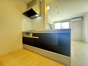 ラフィーネメゾン本町公園 C棟 C0106号-3