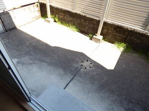 シャーメゾン光　＊ B0102号-13