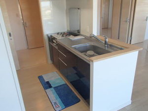 プライムメゾン　セントラルパーク E0407号-6