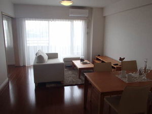 プライムメゾン　セントラルパーク E1102号-2