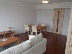 プライムメゾン　セントラルパーク E1102号-3