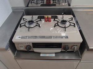 プライムメゾン セントラルパーク E1107号-5