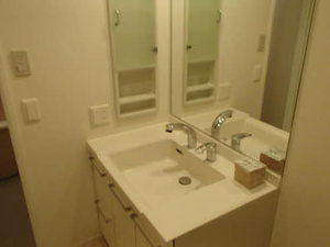 プライムメゾン　セントラルパーク E1202号-8